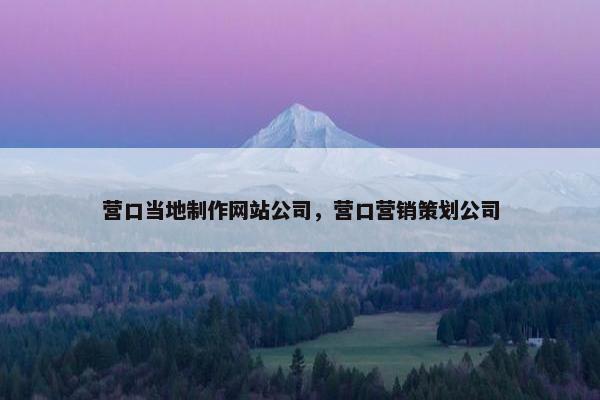 营口当地制作网站公司，营口营销策划公司