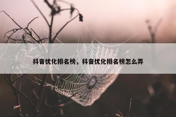 抖音优化排名榜，抖音优化排名榜怎么弄