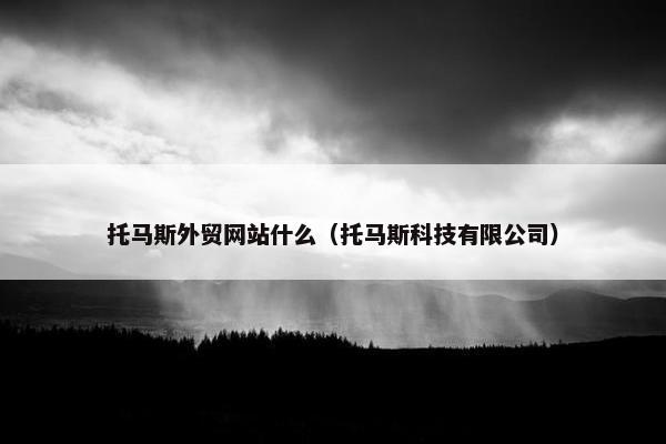 托马斯外贸网站什么（托马斯科技有限公司）