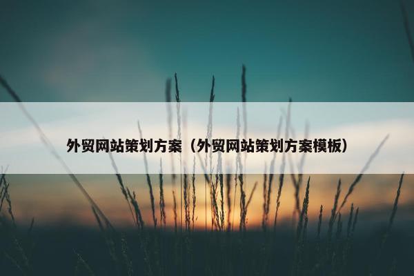 外贸网站策划方案（外贸网站策划方案模板）