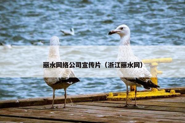 丽水网络公司宣传片（浙江丽水网）