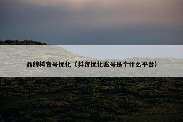 品牌抖音号优化（抖音优化账号是个什么平台）