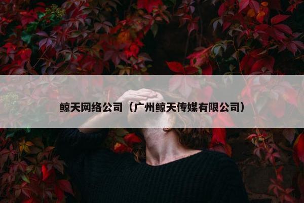 鲸天网络公司（广州鲸天传媒有限公司）