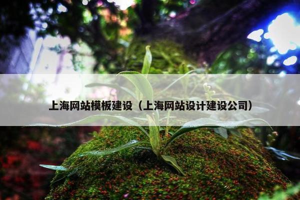 上海网站模板建设（上海网站设计建设公司）