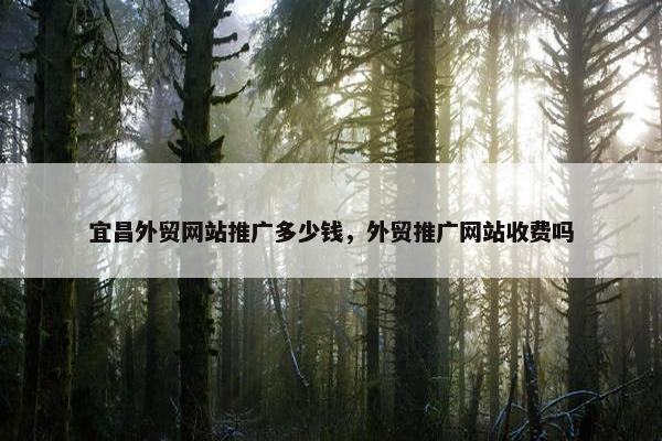 宜昌外贸网站推广多少钱，外贸推广网站收费吗