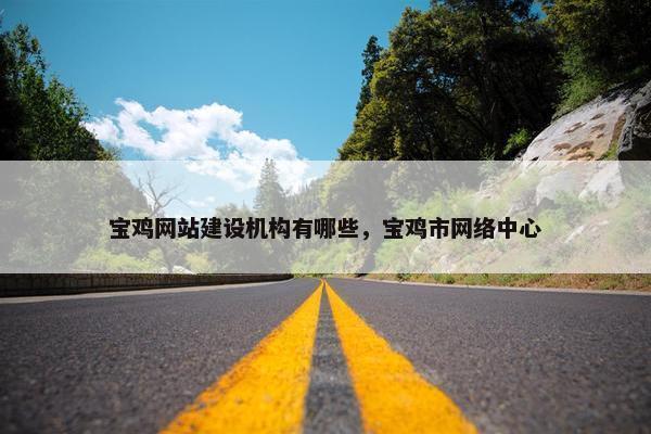 宝鸡网站建设机构有哪些，宝鸡市网络中心