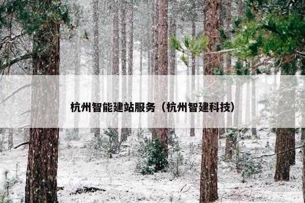 杭州智能建站服务（杭州智建科技）