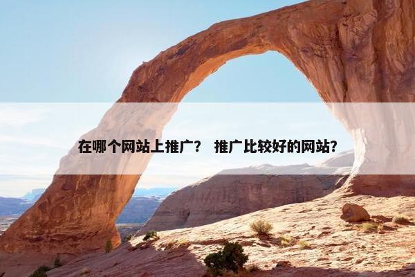 在哪个网站上推广？ 推广比较好的网站？