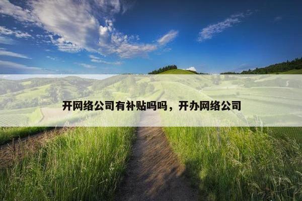 开网络公司有补贴吗吗，开办网络公司