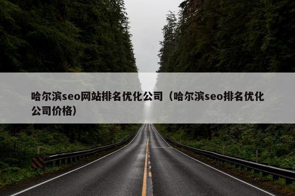 哈尔滨seo网站排名优化公司（哈尔滨seo排名优化公司价格）