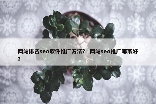 网站排名seo软件推广方法？ 网站seo推广哪家好？