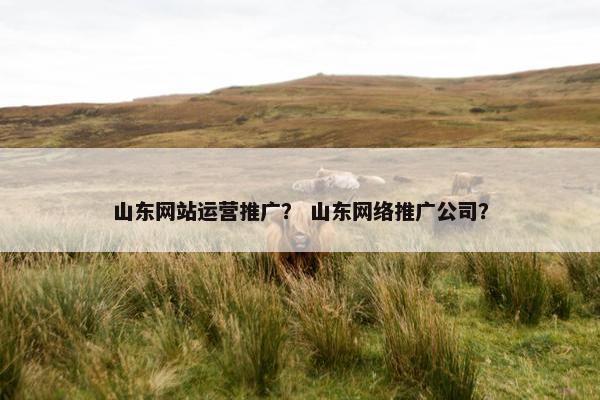山东网站运营推广？ 山东网络推广公司？