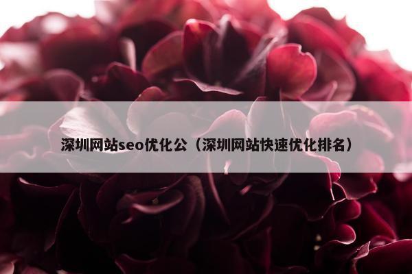 深圳网站seo优化公（深圳网站快速优化排名）
