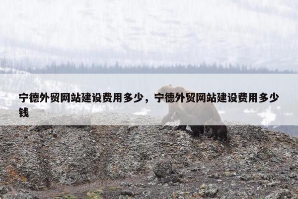 宁德外贸网站建设费用多少，宁德外贸网站建设费用多少钱