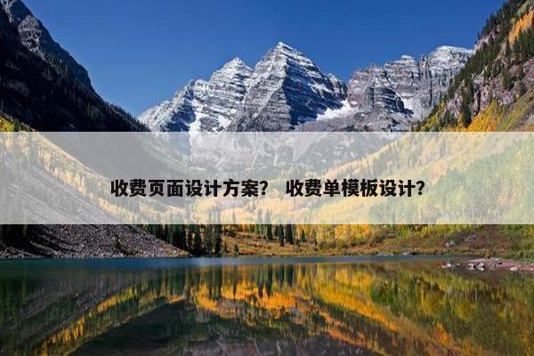 收费页面设计方案？ 收费单模板设计？