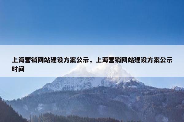 上海营销网站建设方案公示，上海营销网站建设方案公示时间