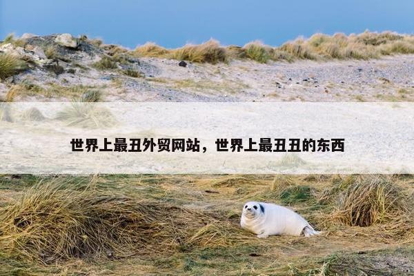 世界上最丑外贸网站，世界上最丑丑的东西