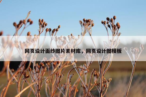 网页设计面纱图片素材库，网页设计图模板