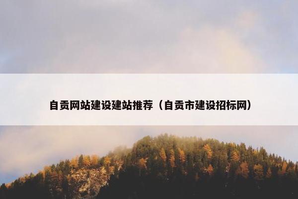 自贡网站建设建站推荐（自贡市建设招标网）