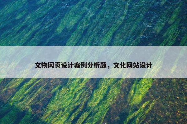 文物网页设计案例分析题，文化网站设计