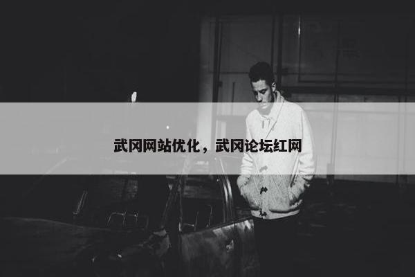 武冈网站优化，武冈论坛红网