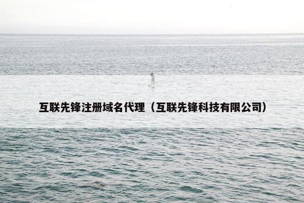 互联先锋注册域名代理（互联先锋科技有限公司）