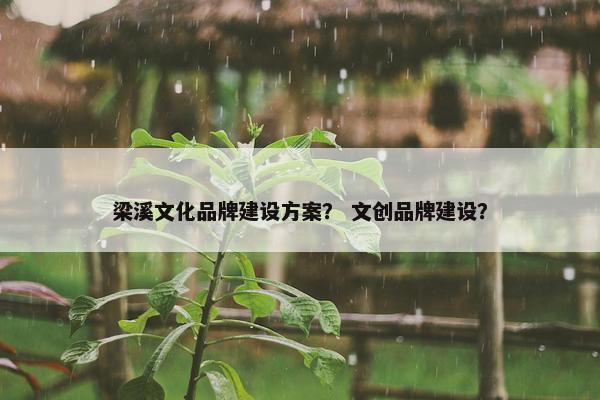 梁溪文化品牌建设方案？ 文创品牌建设？