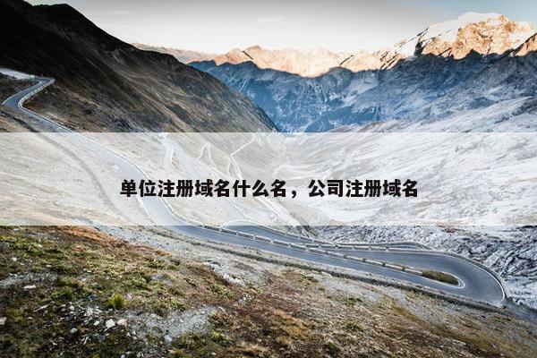 单位注册域名什么名，公司注册域名