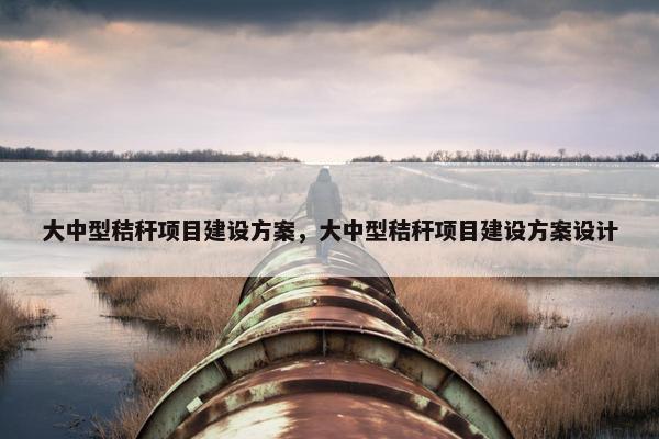 大中型秸秆项目建设方案，大中型秸秆项目建设方案设计