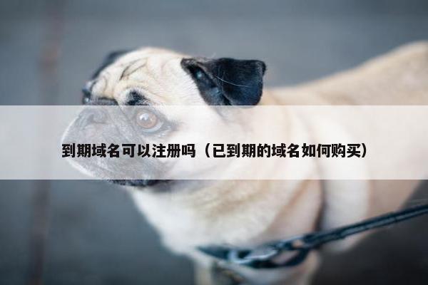 到期域名可以注册吗（已到期的域名如何购买）