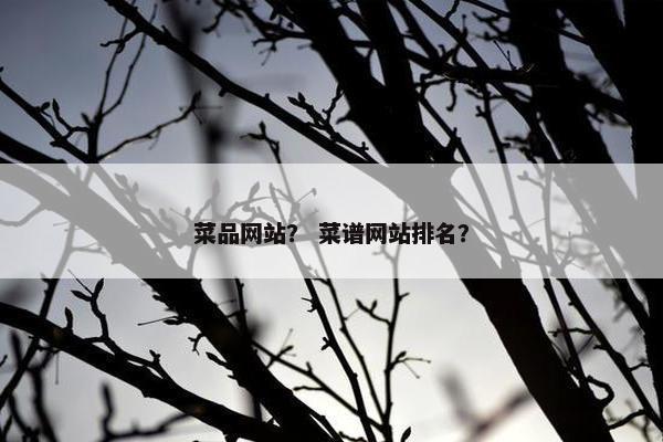 菜品网站？ 菜谱网站排名？