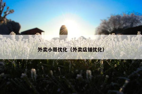 外卖小哥优化（外卖店铺优化）