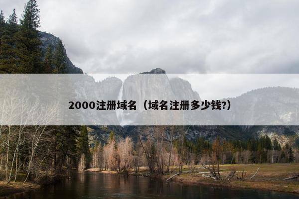 2000注册域名（域名注册多少钱?）
