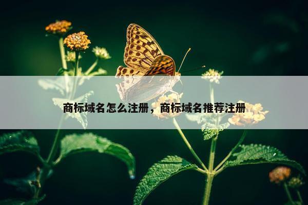 商标域名怎么注册，商标域名推荐注册