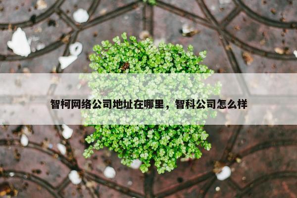智柯网络公司地址在哪里，智科公司怎么样