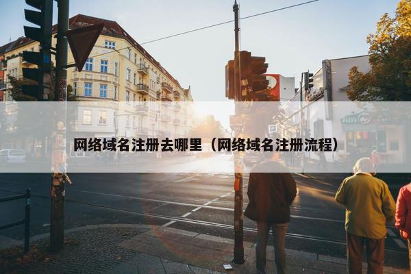 网络域名注册去哪里（网络域名注册流程）