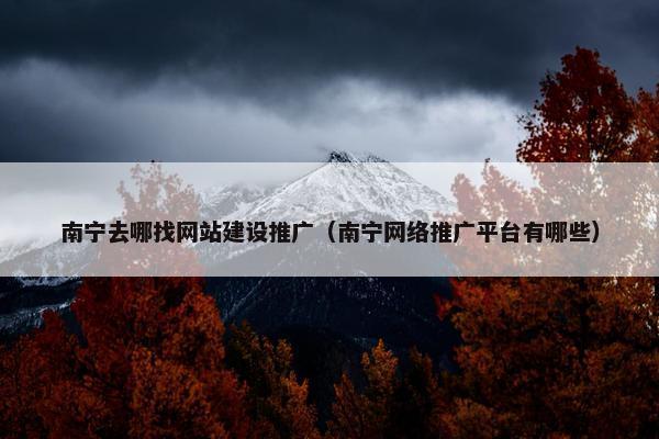 南宁去哪找网站建设推广（南宁网络推广平台有哪些）