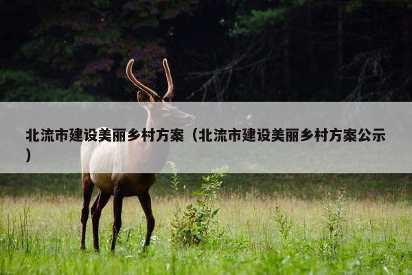 北流市建设美丽乡村方案（北流市建设美丽乡村方案公示）