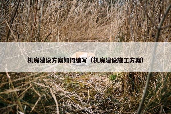 机房建设方案如何编写（机房建设施工方案）