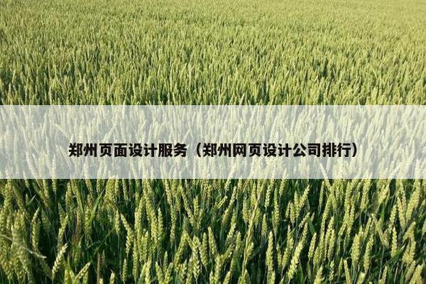 郑州页面设计服务（郑州网页设计公司排行）