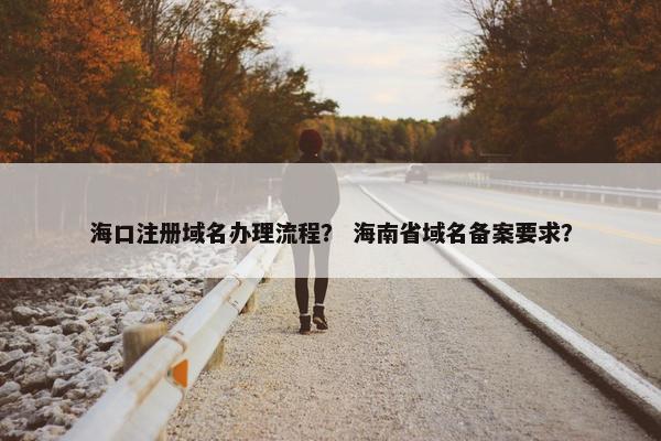 海口注册域名办理流程？ 海南省域名备案要求？
