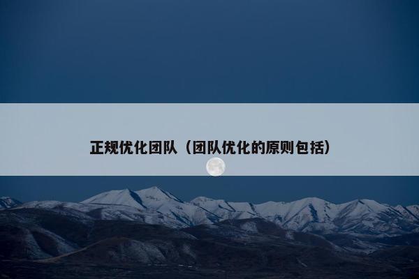 正规优化团队（团队优化的原则包括）
