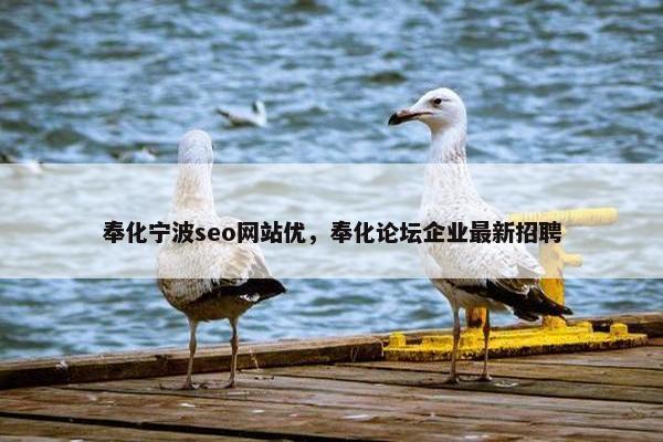 奉化宁波seo网站优，奉化论坛企业最新招聘