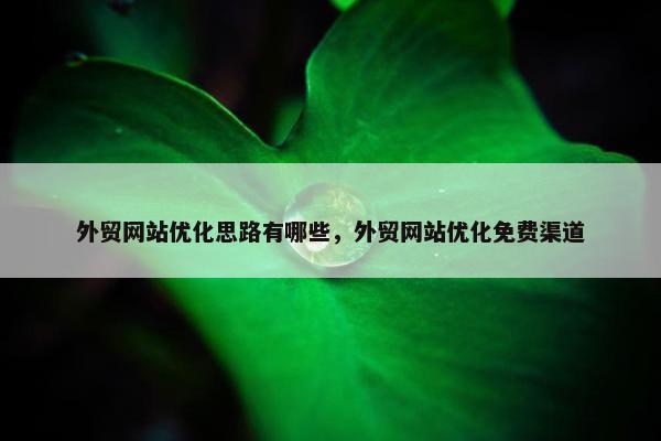外贸网站优化思路有哪些，外贸网站优化免费渠道