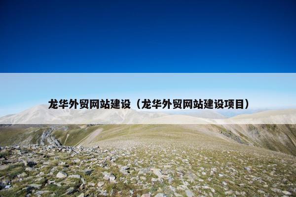 龙华外贸网站建设（龙华外贸网站建设项目）