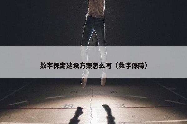 数字保定建设方案怎么写（数字保障）