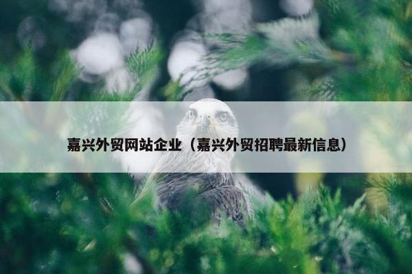 嘉兴外贸网站企业（嘉兴外贸招聘最新信息）