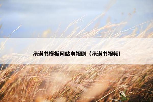 承诺书模板网站电视剧（承诺书视频）