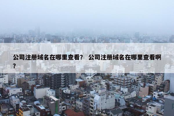 公司注册域名在哪里查看？ 公司注册域名在哪里查看啊？