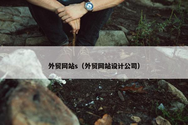 外贸网站s（外贸网站设计公司）